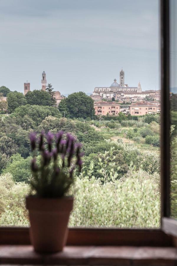 Le Del Conventino Di Marciano *